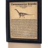 Information Sheet regarding Camarasaurus Grandis dinosaur tail from Wyoming.