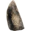 A beautiful 100% complete Tyrannosaurus rex tooth from Wyoming measuring 2 3/8” in length. This remarkable tooth is incredibly rare and is fully serrated and complete. The T-Rex tooth was found in the Lance Creek formation of Wyoming.
