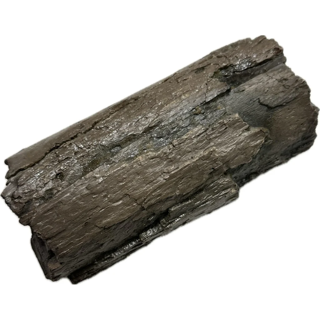 Fossil mastodon tusk piece from Florida
