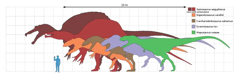 Spinosaurus: The Giant of Kem Kem