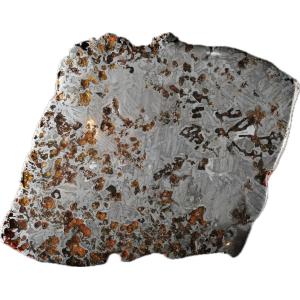 Pallasite Meteorites