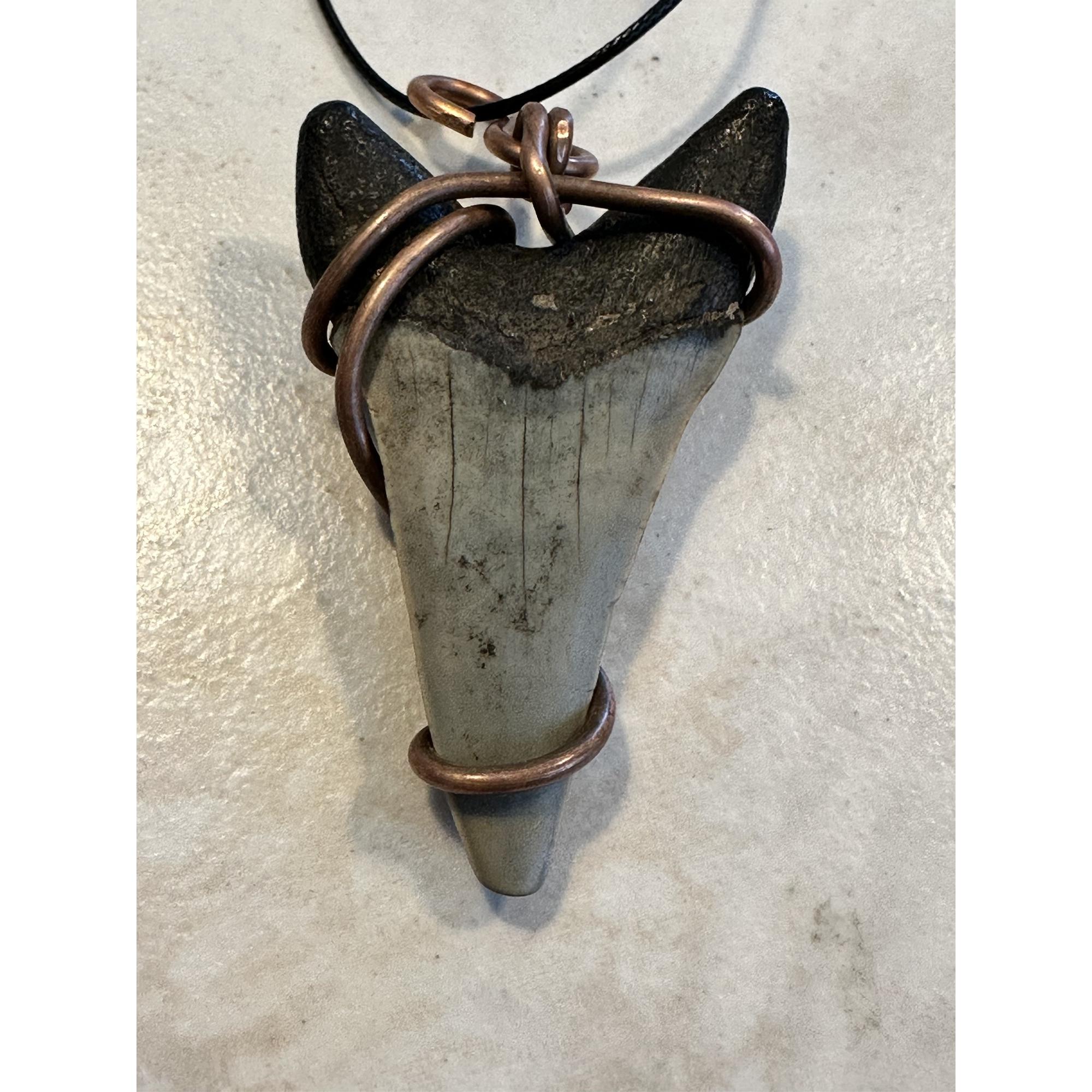 Fossil Mako Pendant, dark copper wire, Gorgeous root Prehistoric Online