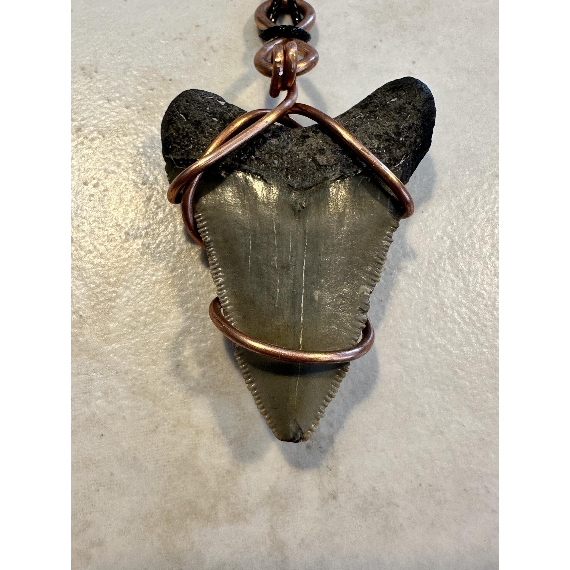 Megalodon Pendant, beautiful enamel, adjustable leather cord Prehistoric Online