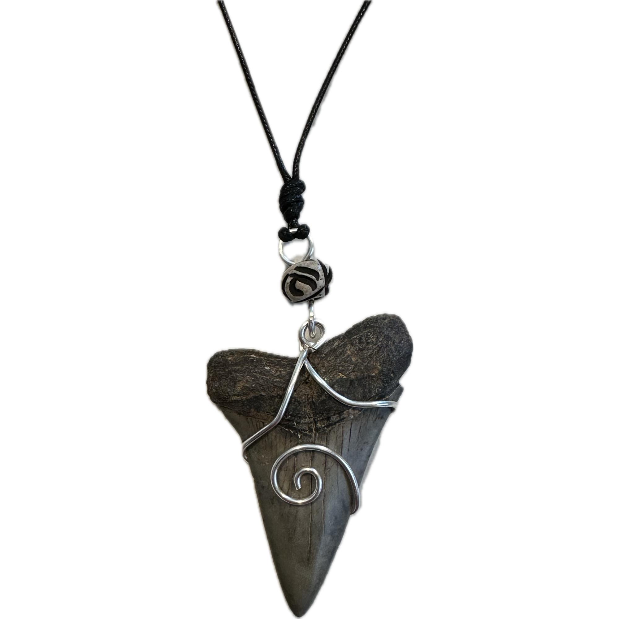 Mako fossil Pendant, silver wire, black African bead Prehistoric Online