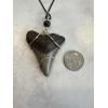 Megalodon Pendant, gold tone wire, 2.40 inches Prehistoric Online