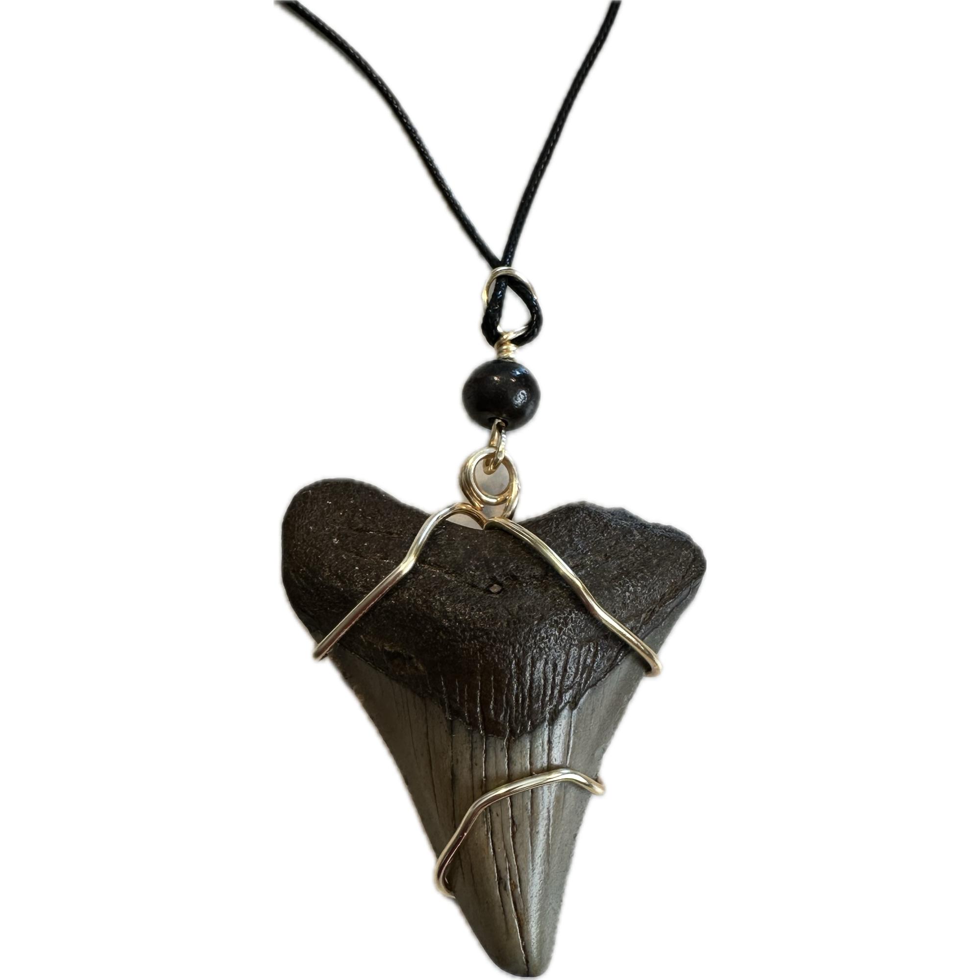 Megalodon Pendant, gold tone wire, 2.40 inches Prehistoric Online
