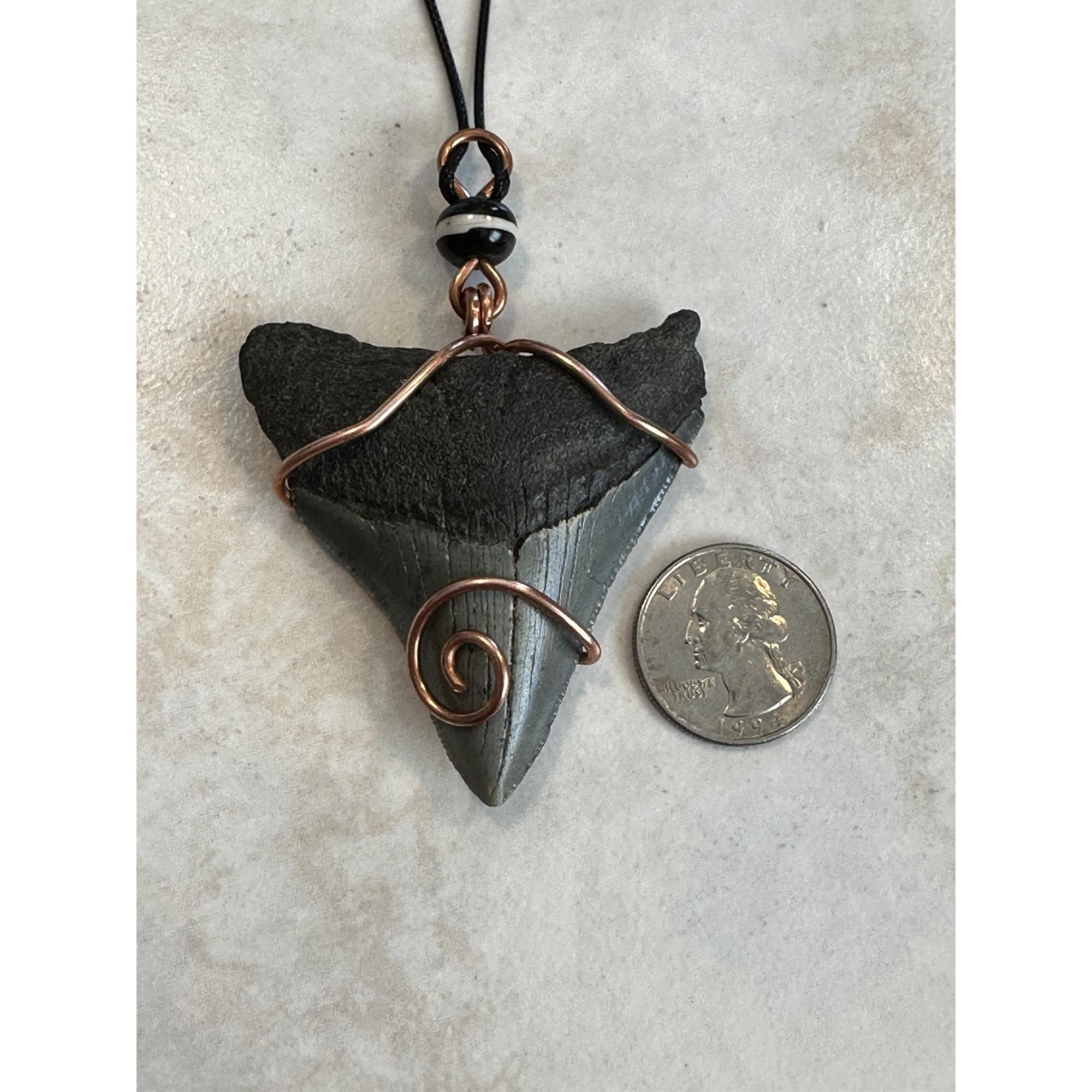 Megalodon Pendant, complete tooth wrapped in copper Prehistoric Online