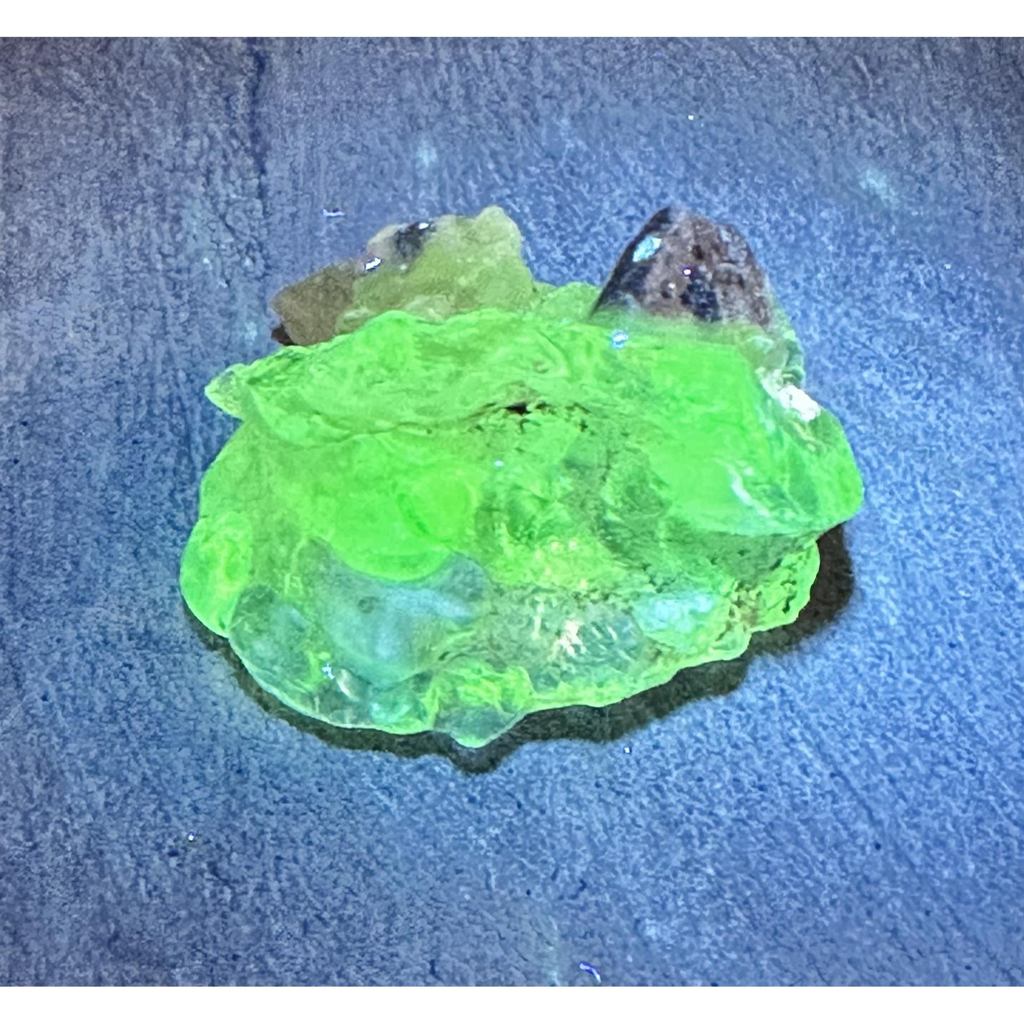 Hyalite Opal, 3.00 grams, Uv Reactive, Mexico Prehistoric Online