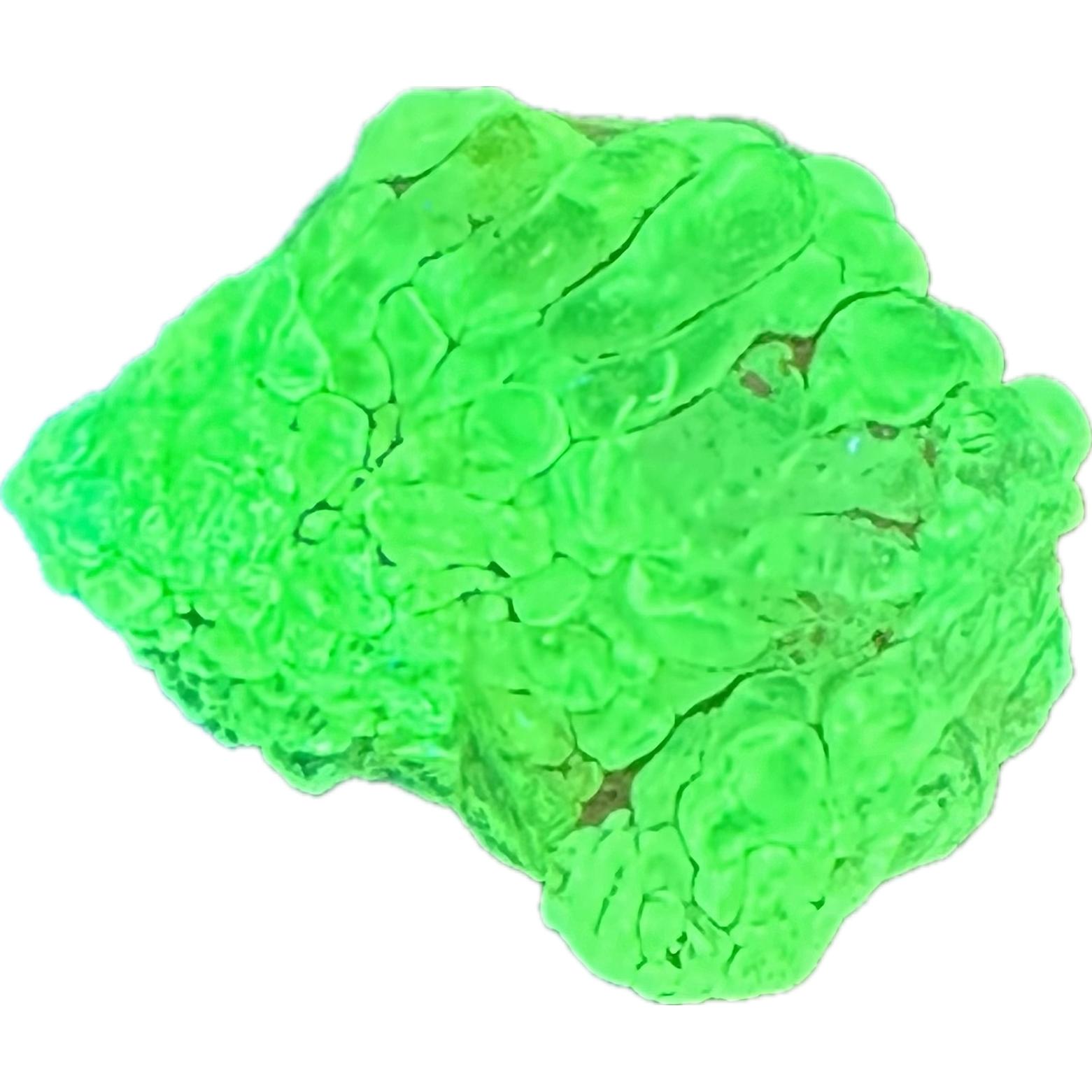Opal, Hyalite, uv reactive, 3.38 grams, great color Prehistoric Online