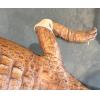 Alligator Taxidermy, vintage 1960’s, hand stitched Prehistoric Online
