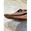 Alligator letter opener, Taxidermy, vintage 1960’s, fantastic teeth Prehistoric Online