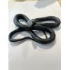 Black Cobra Taxidermy, Australian black, 10″ x 8″ curled Prehistoric Online