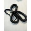 Black Cobra Taxidermy, Australian black, 10″ x 8″ curled Prehistoric Online
