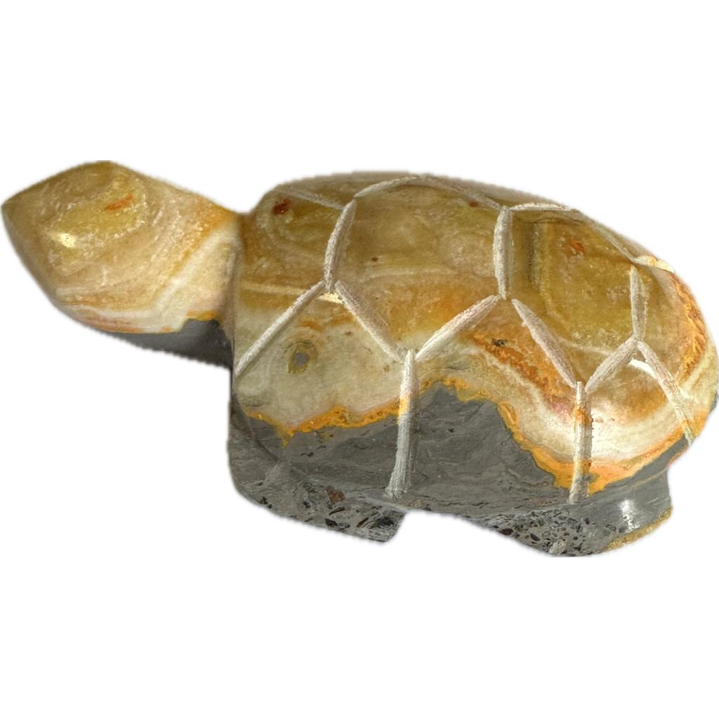 Bumblebee Jasper carved Turtle, Gorgeous orange color Prehistoric Online