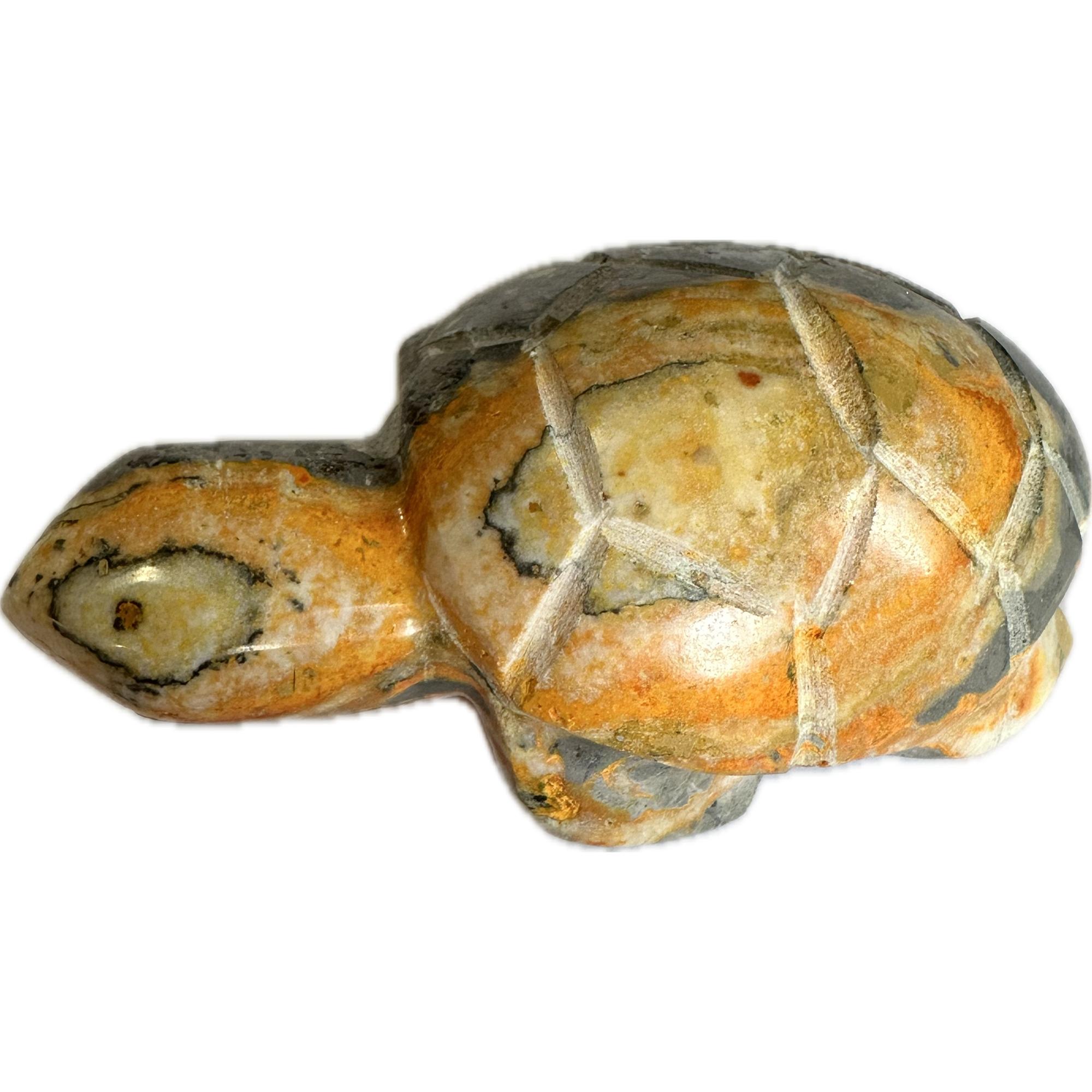 Bumblebee Jasper carved Turtle, AAA grade, amazing colors Prehistoric Online