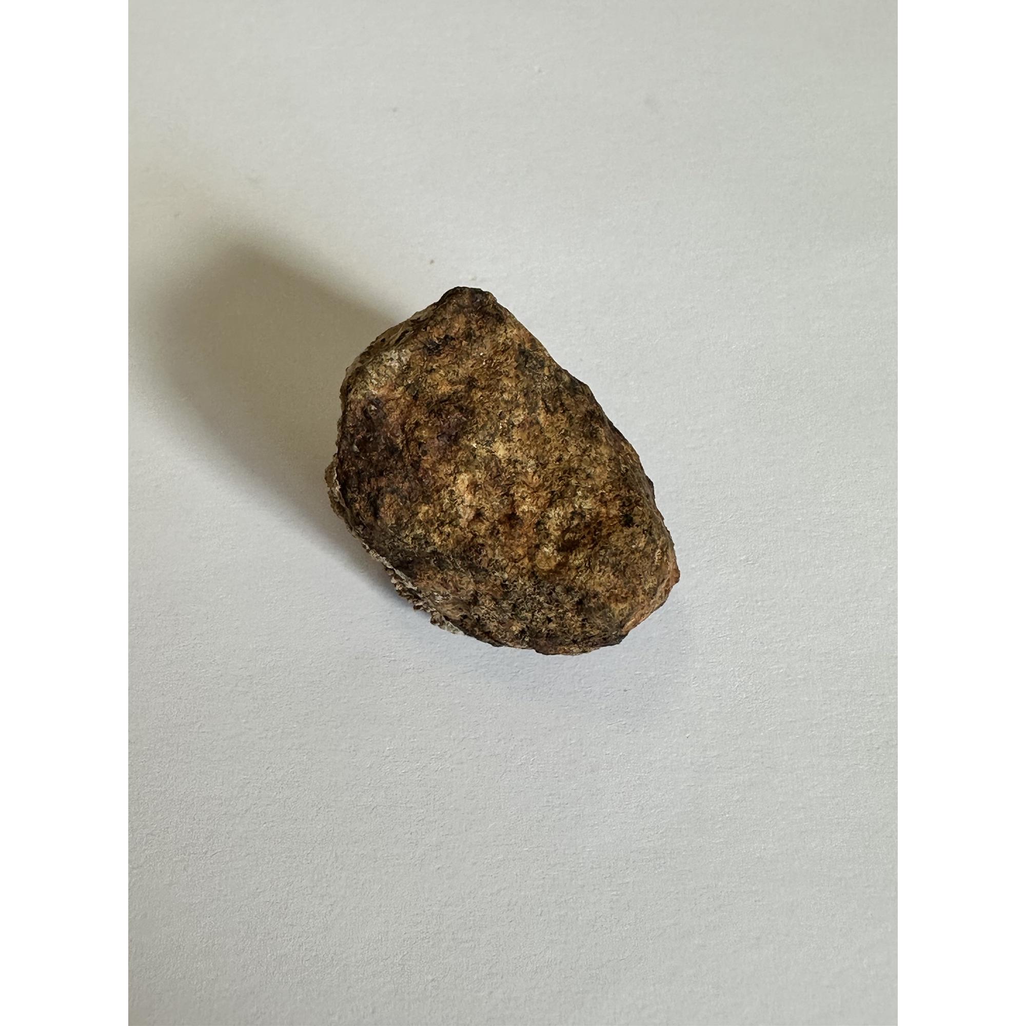 Gold Basin meteorite, 13.7 grams Prehistoric Online