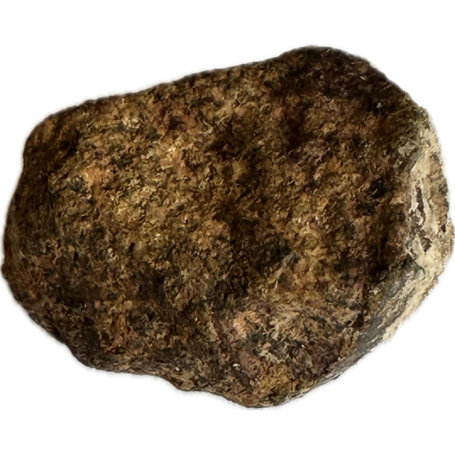 Gold Basin meteorite, 13.7 grams, Arizona, Stony Prehistoric Online