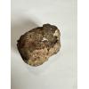 Gold Basin meteorite, 88.1 grams Prehistoric Online
