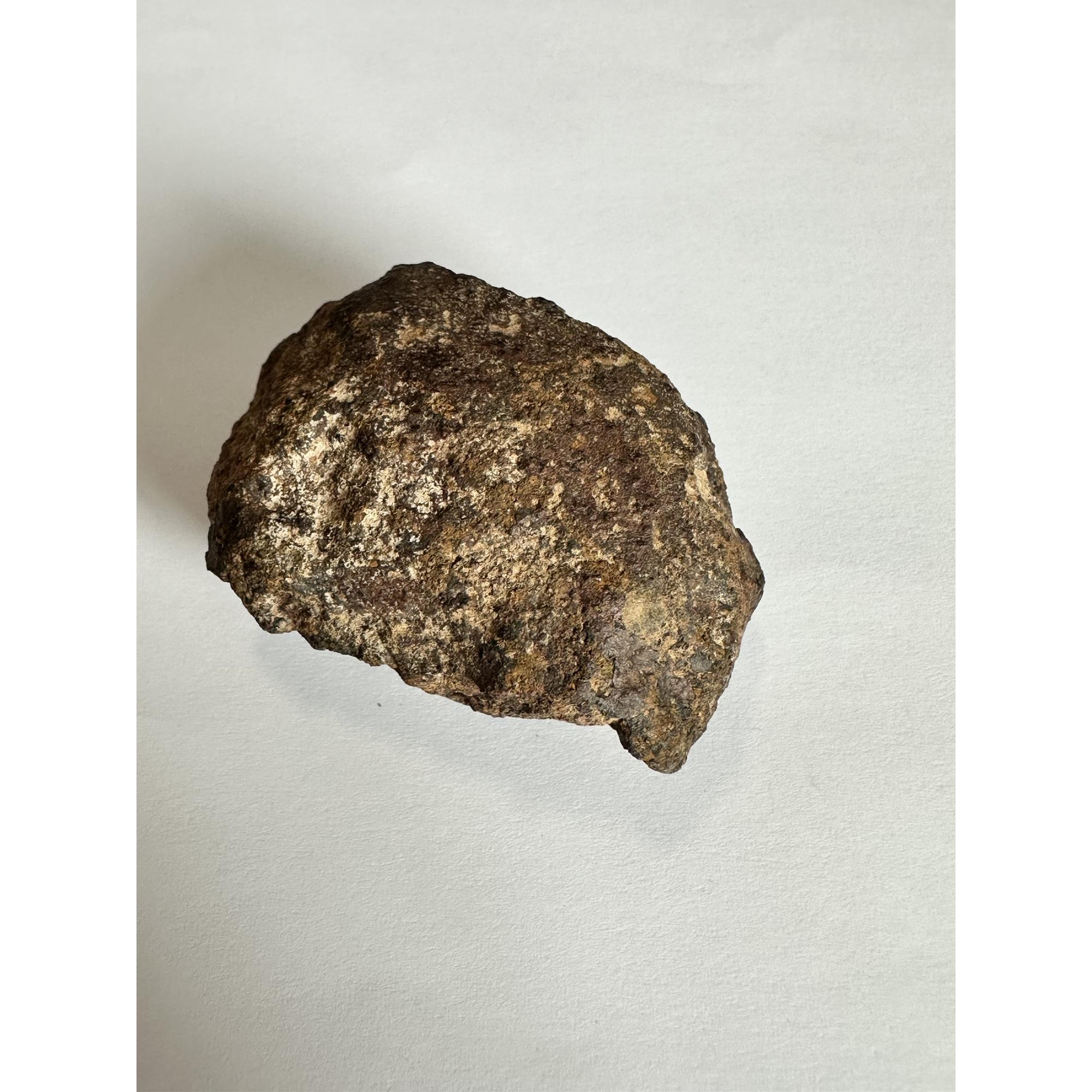 Gold Basin meteorite, 88.1 grams Prehistoric Online
