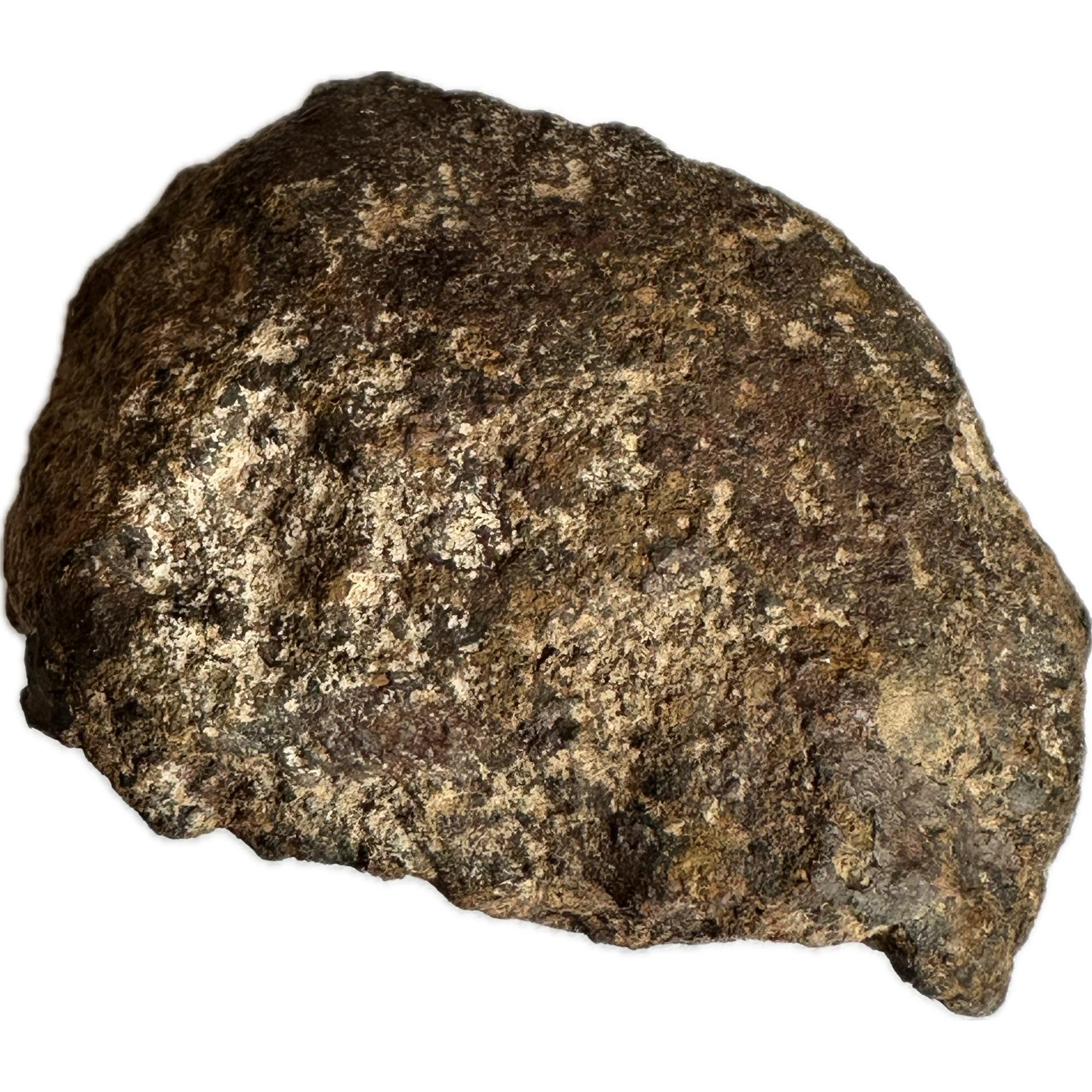 Gold Basin meteorite, 88.1 grams, Arizona, Large specimen Prehistoric Online