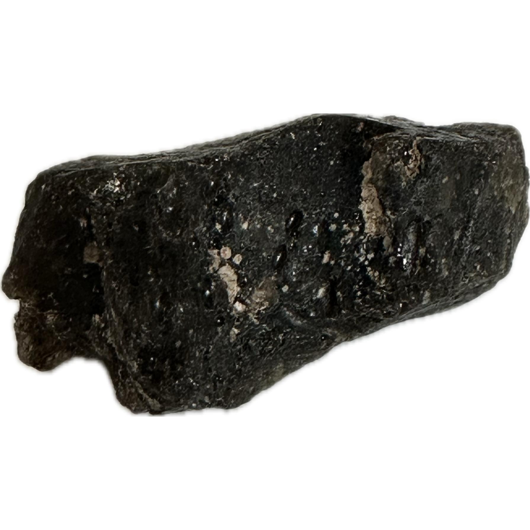 Darwin Glass, 6.37 grams Darwinite Prehistoric Online