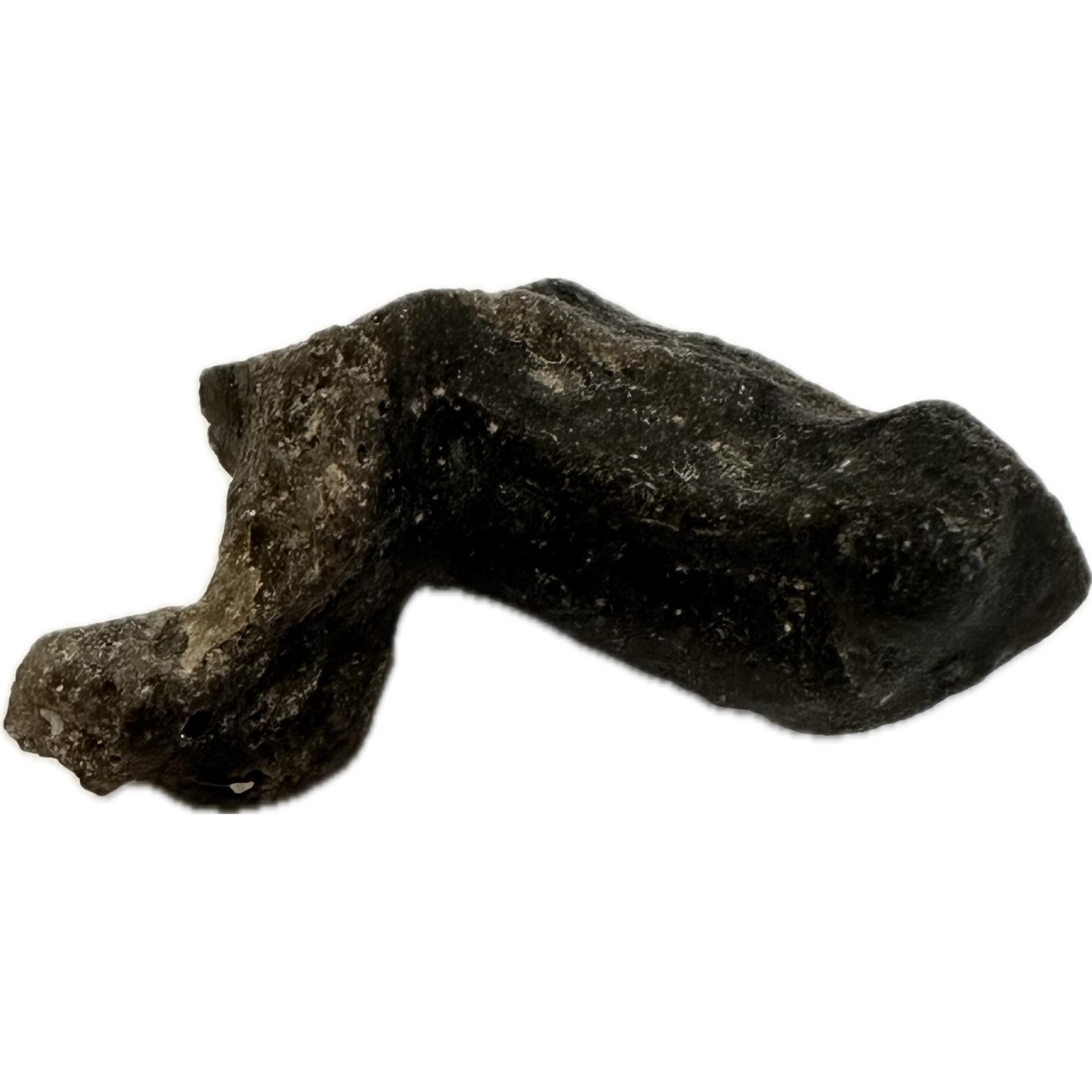 Darwin Glass, rare shape, 2.87 grams Prehistoric Online