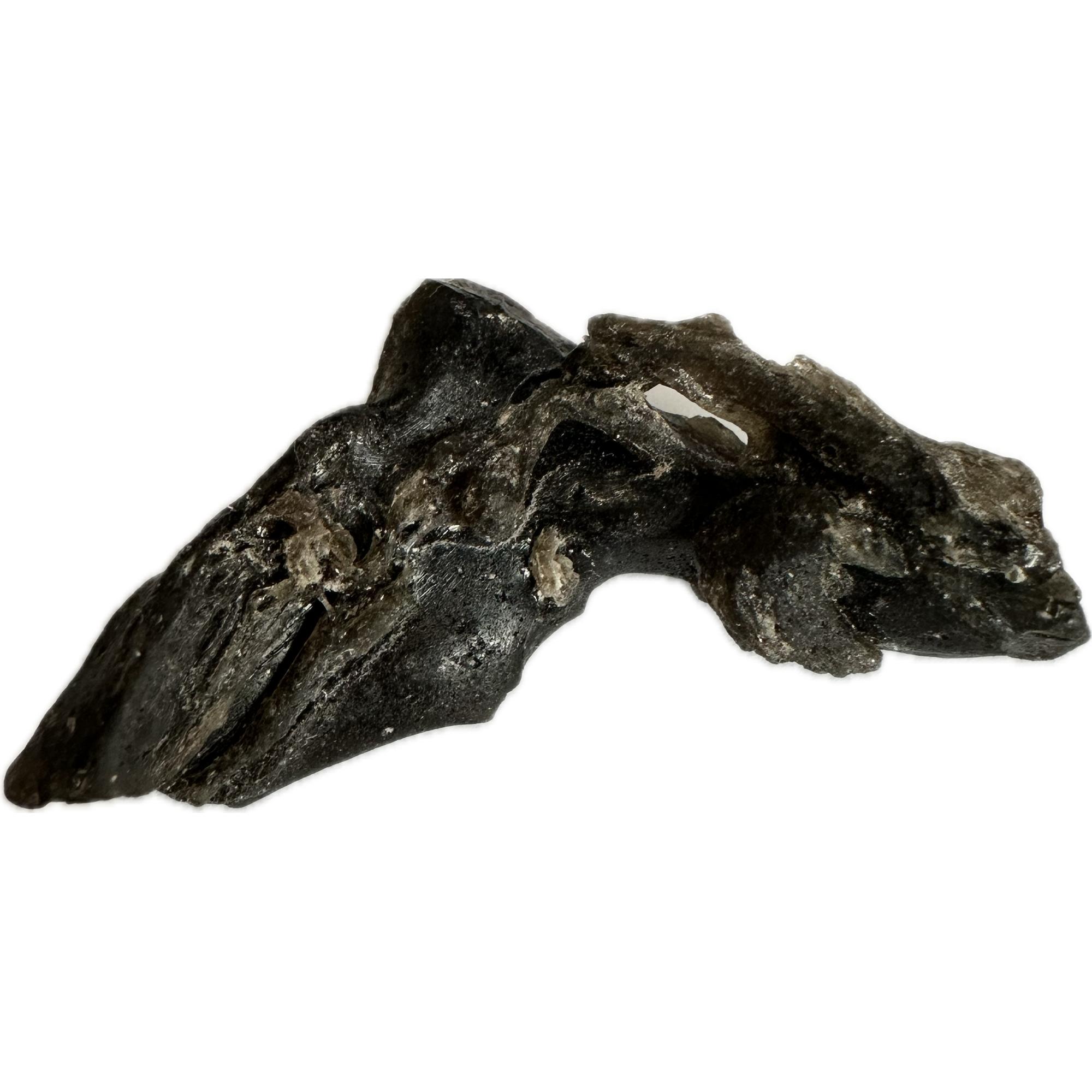 Darwin Glass, 5.80g tektite Prehistoric Online