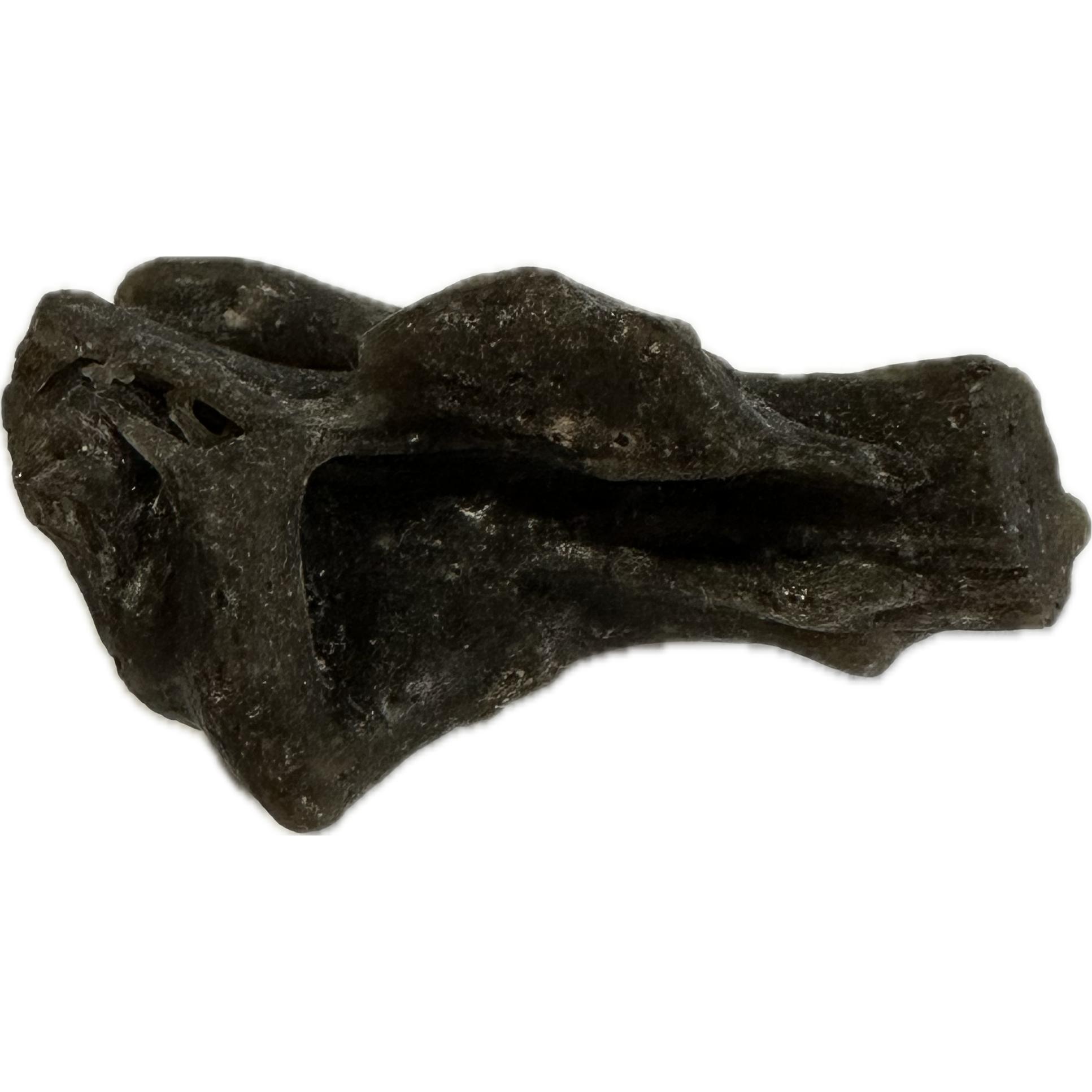 Darwin Glass, 6.00g specimen Prehistoric Online