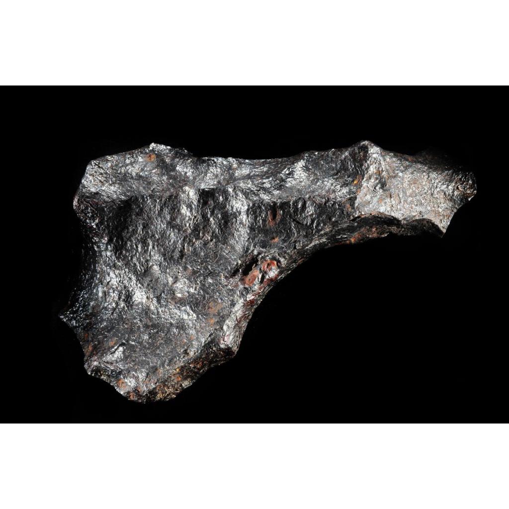 Campo del Cielo, Argentina  Iron Meteorite, Found 1576 Prehistoric Online