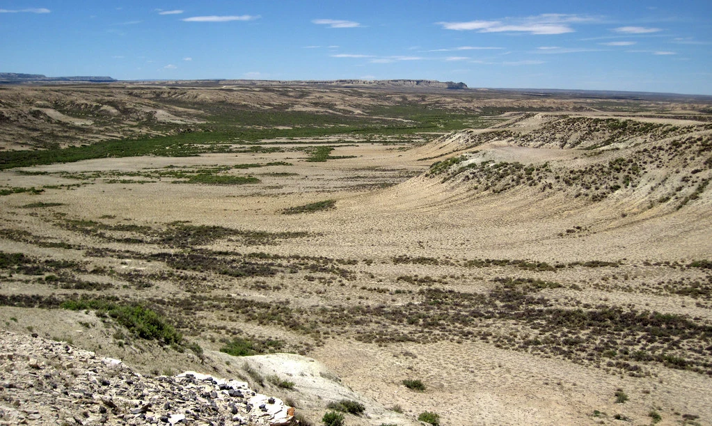 This is a picture of a field located in the Green River Formation in Wyoming, a place known for its large quantity of fossil fish.