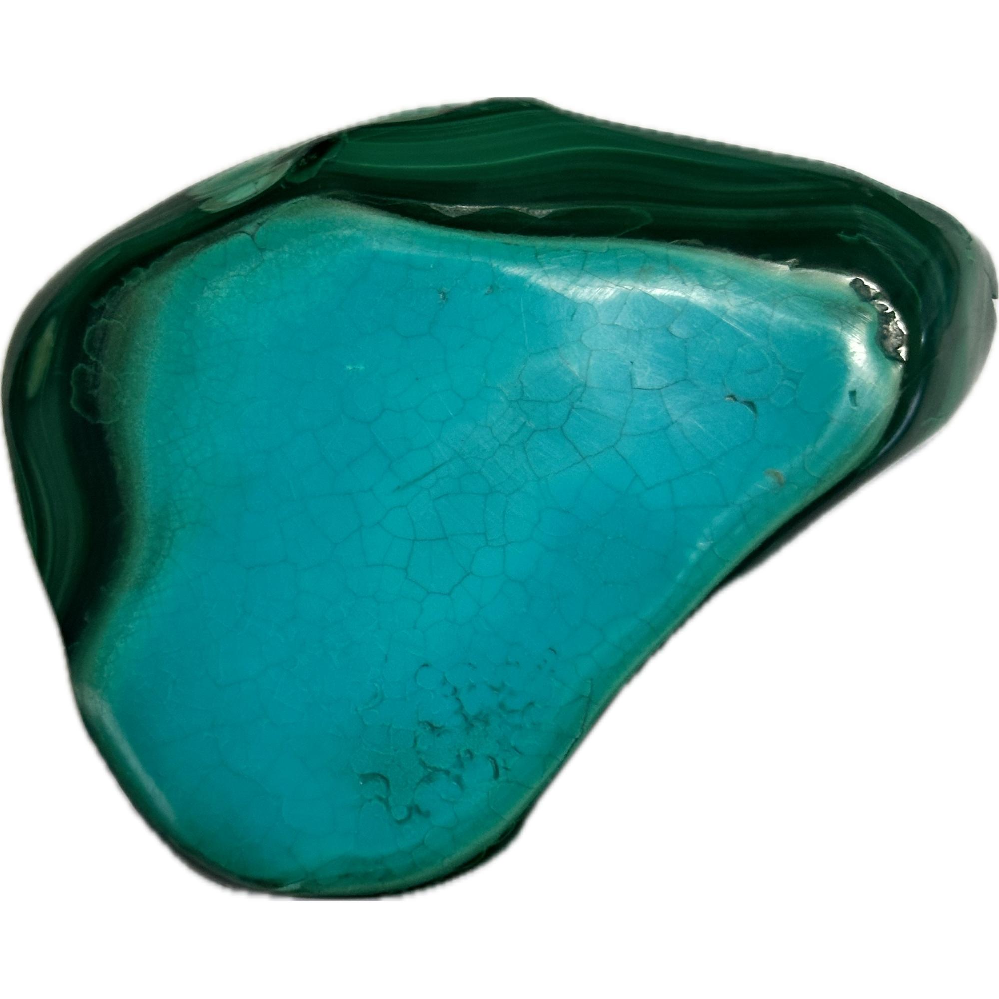 Chrysocolla with Malachite, vibrant blue color, strong green base Prehistoric Online