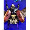 Steampunk Beetle, Aces High, bio bug Prehistoric Online