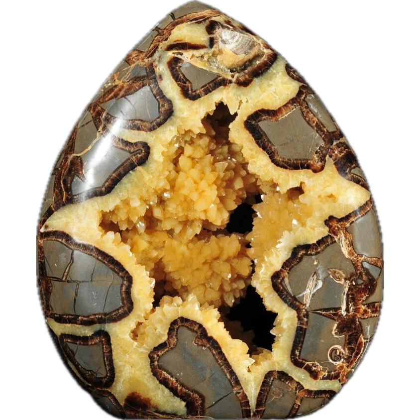 Septarian Dragon Egg sphere Madagascar, whopping 7 inch Prehistoric Online