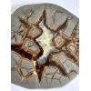 Septarian Slice – Utah, dark beautiful Aragonite mineral Prehistoric Online