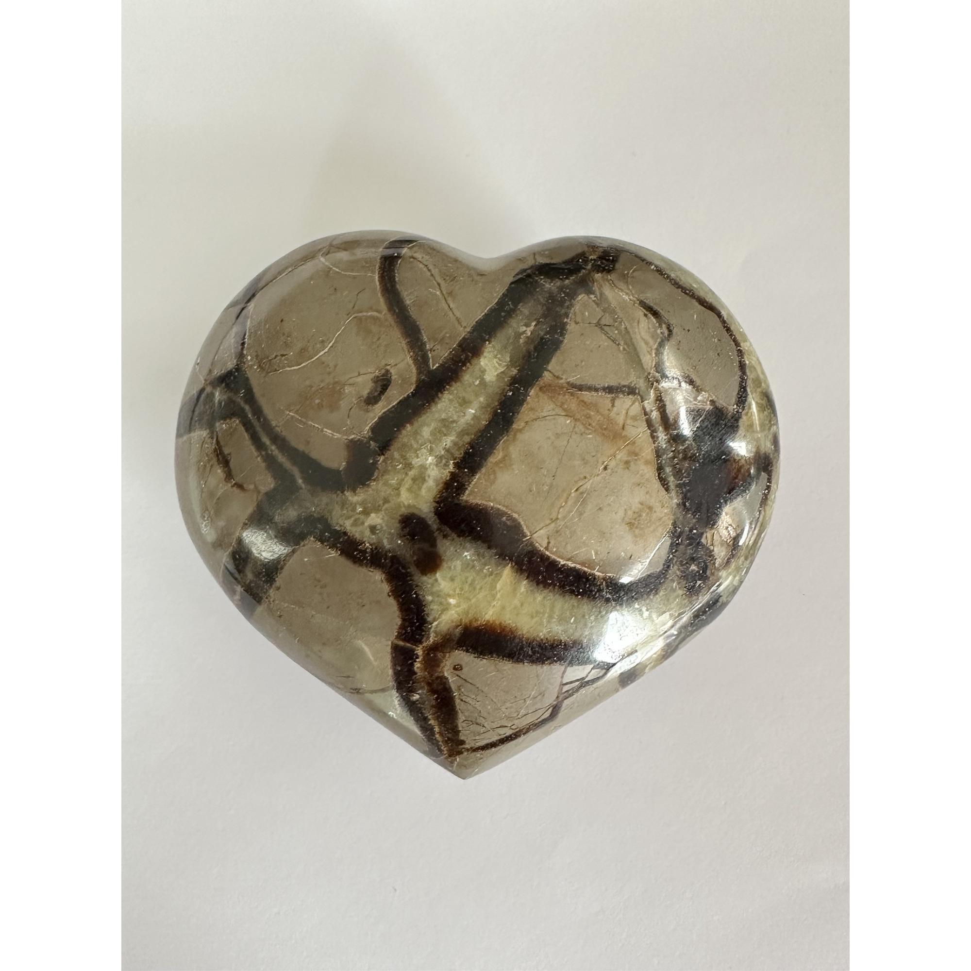 Septarian Heart, 4 inch by 3 1/2 inch Prehistoric Online