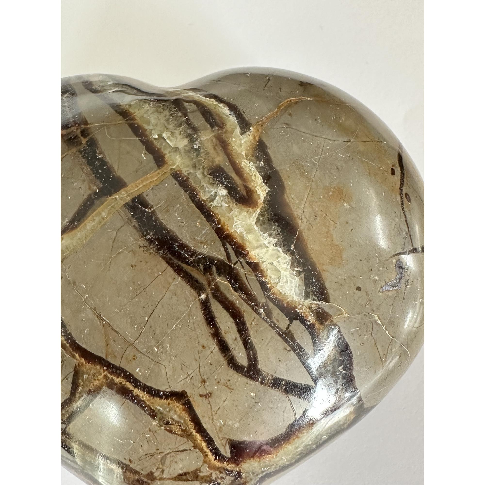 Septarian Heart, Delta Utah Prehistoric Online