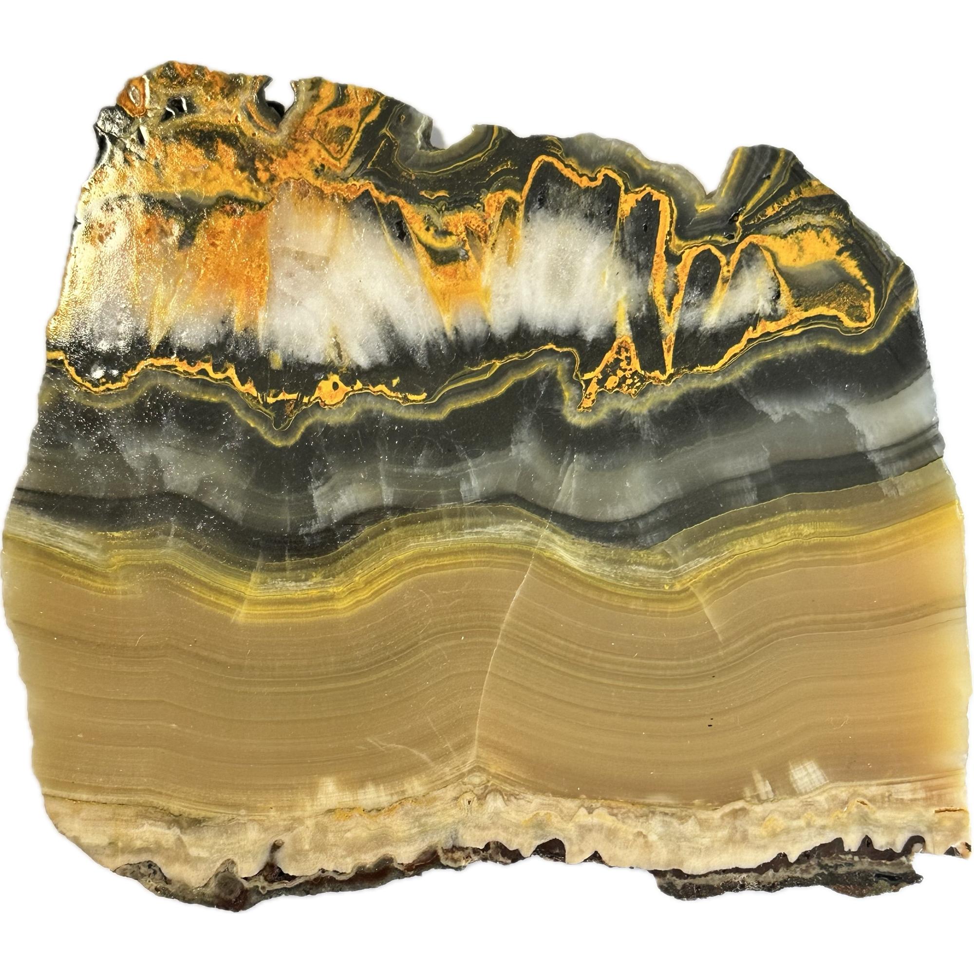 Bumblebee Jasper Slice, Vivid Orange, translucent agate Prehistoric Online