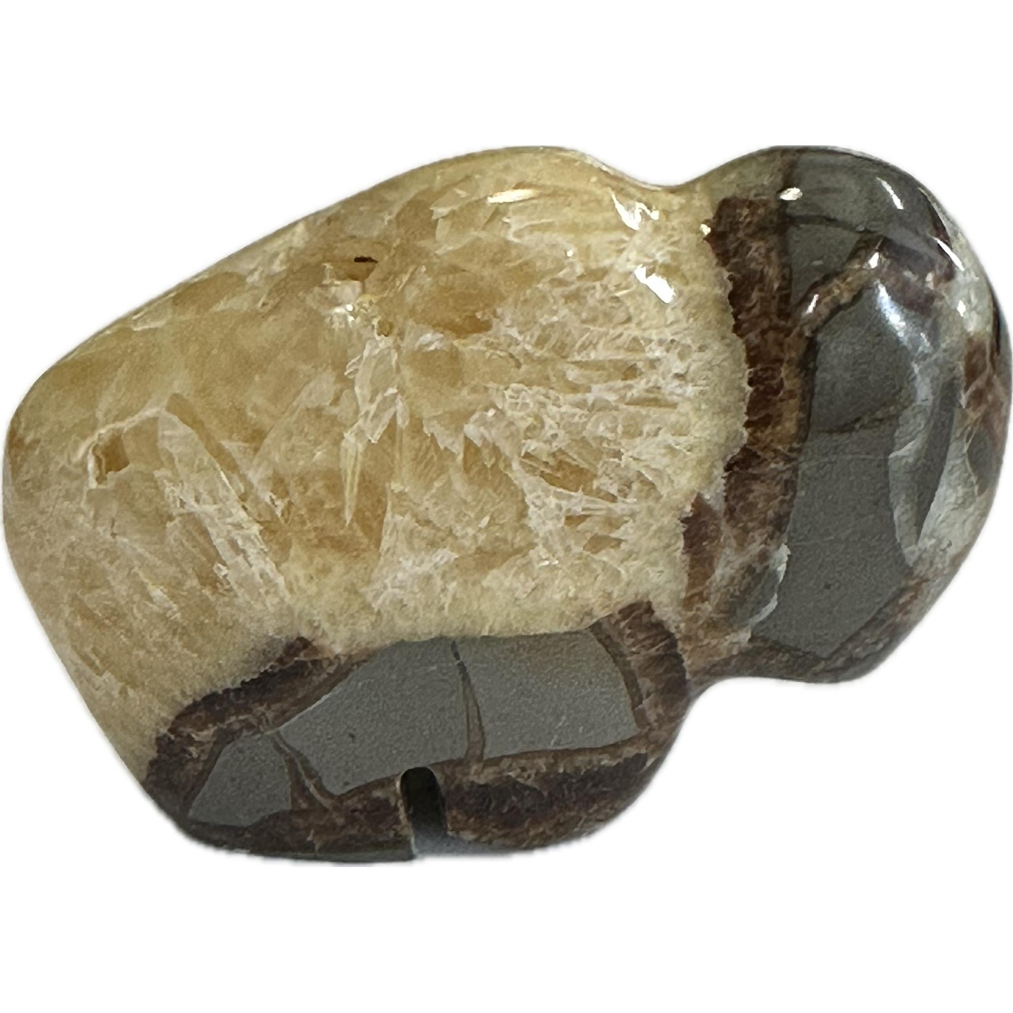 Septarian Fetish animal, Bison, Utah, calcite back Prehistoric Online