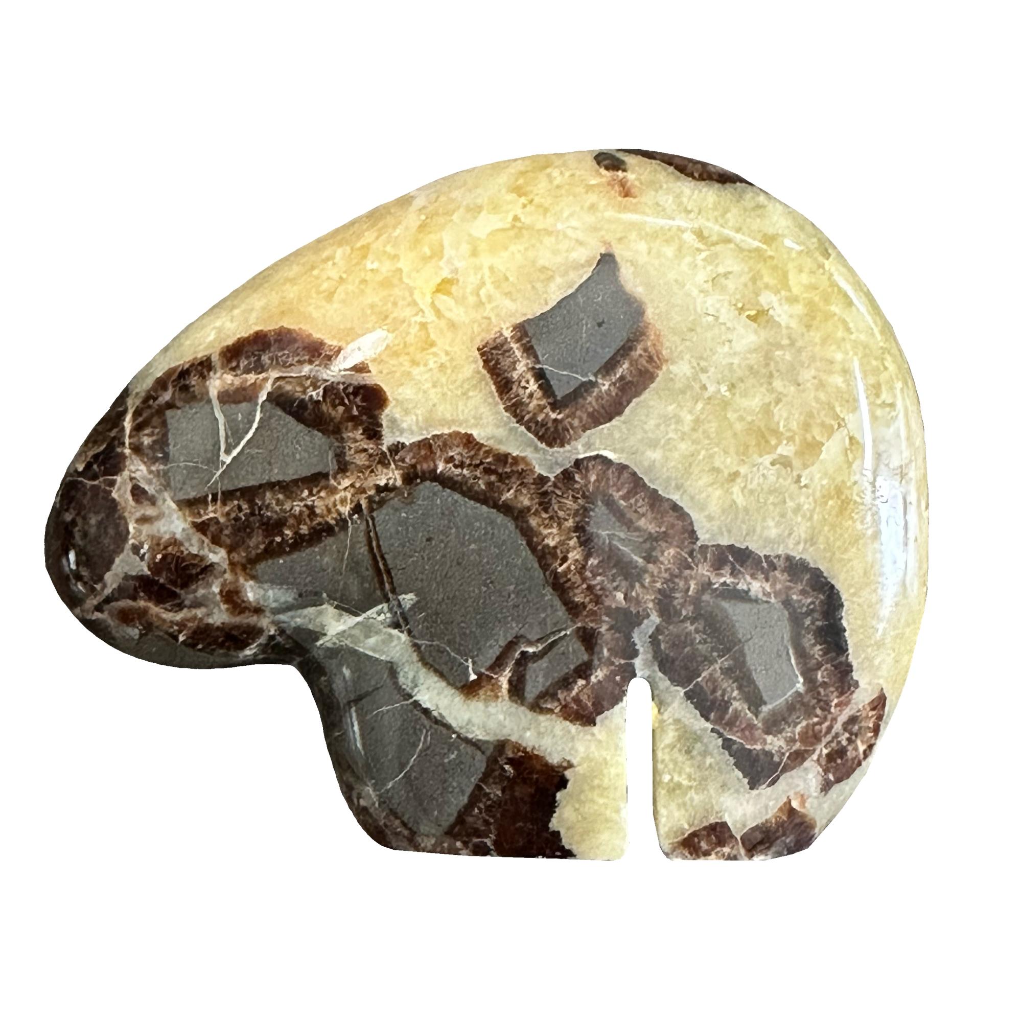 Septarian Fetish animal, Bison, Utah, great giraffe markings Prehistoric Online