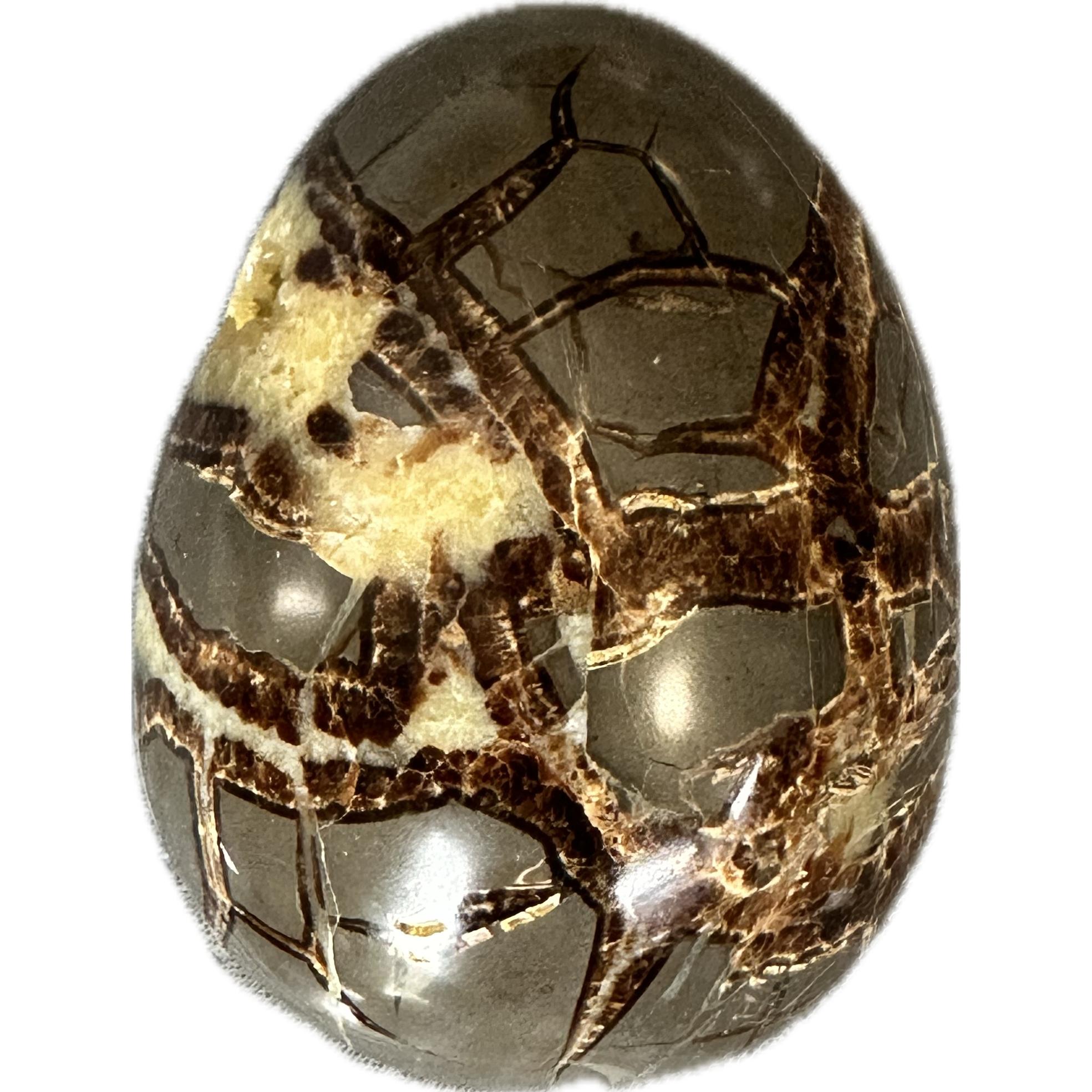 Septarian Egg, Vivid Calcite Prehistoric Online