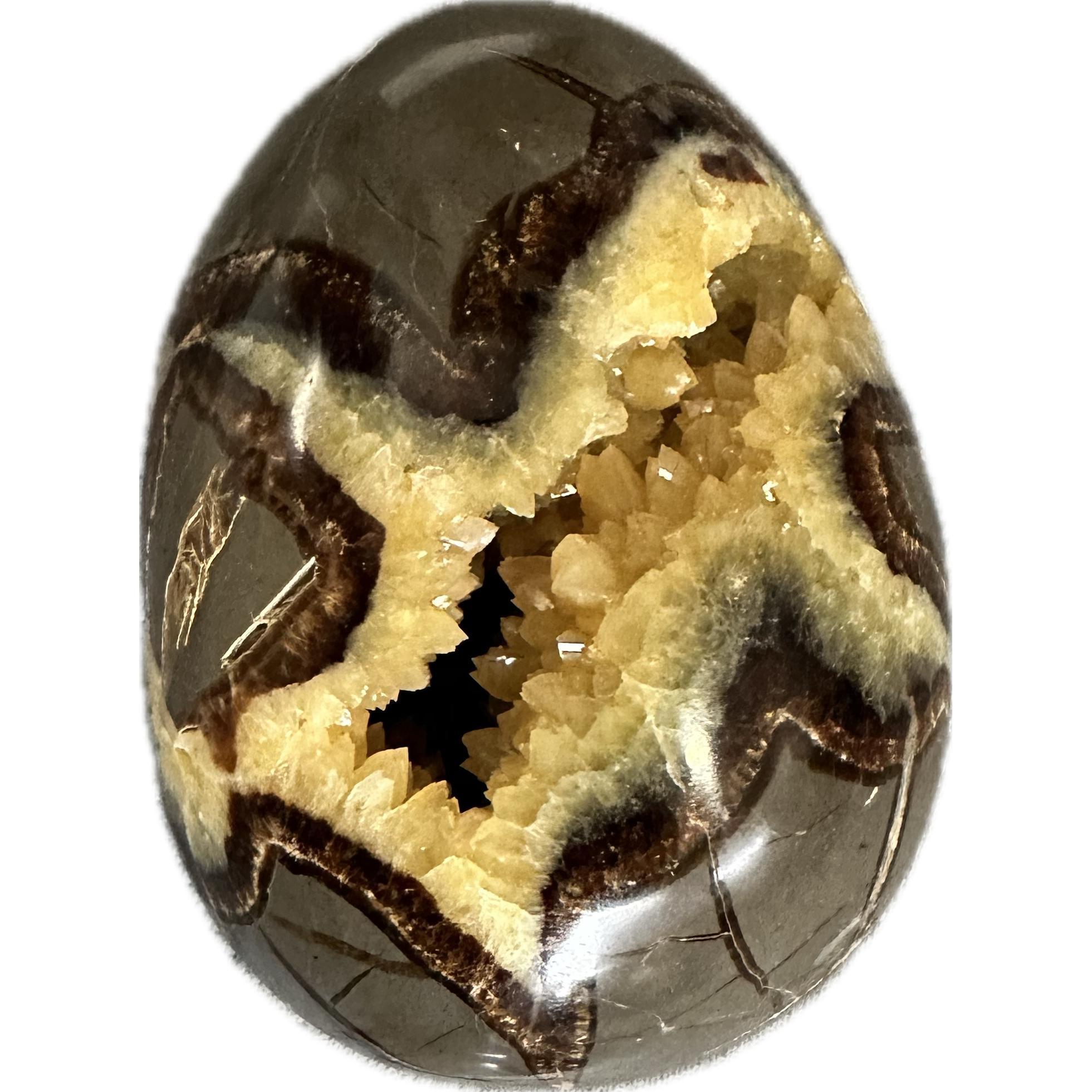Septarian Egg, Utah, Vivid Calcite Crystal center Prehistoric Online