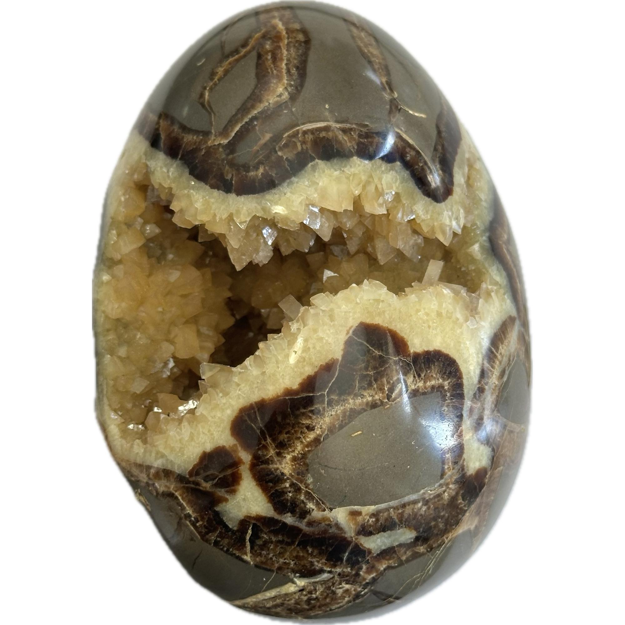 Septarian Egg, Utah, collector specimen Prehistoric Online