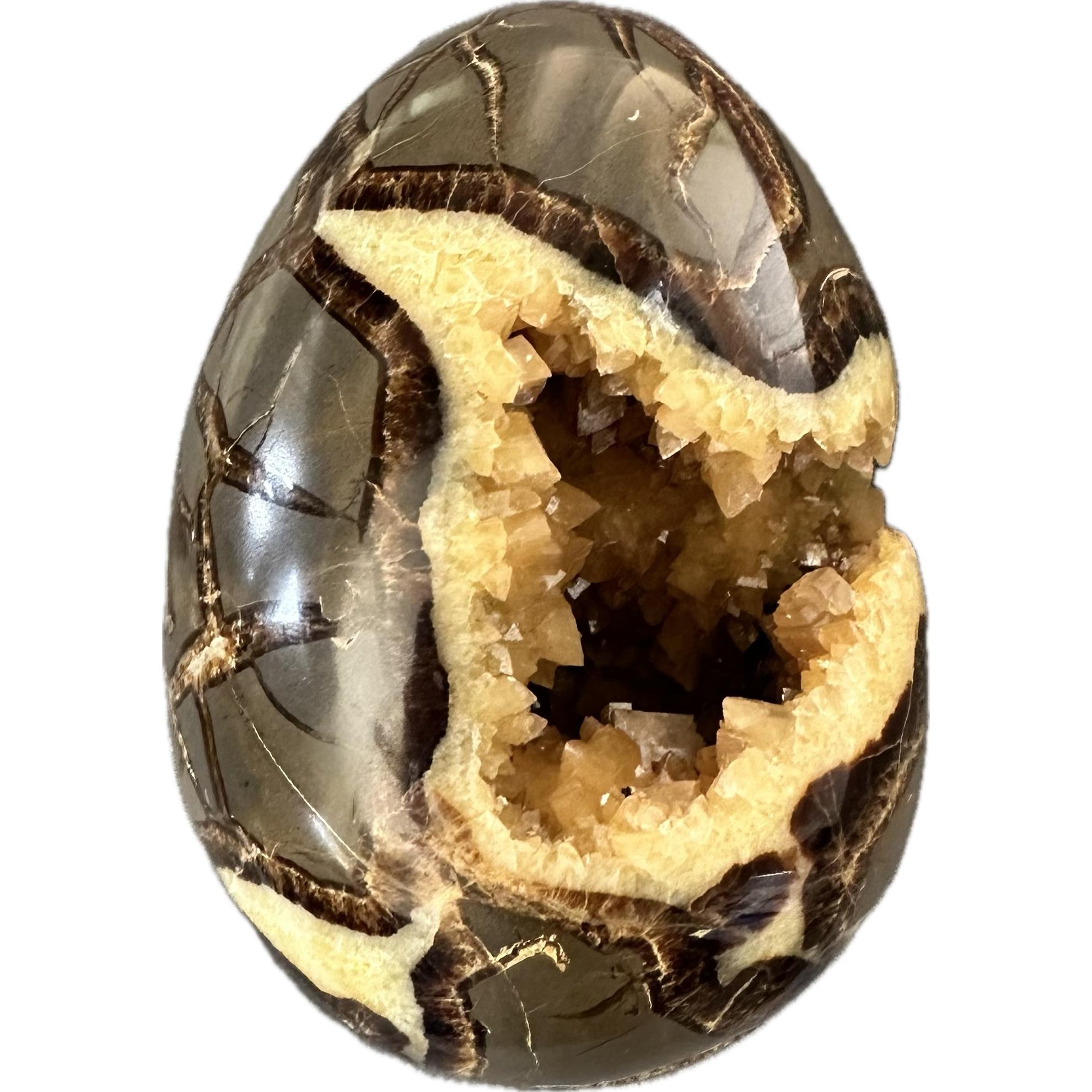 Septarian Egg, Utah, spectacular collector specimen Prehistoric Online
