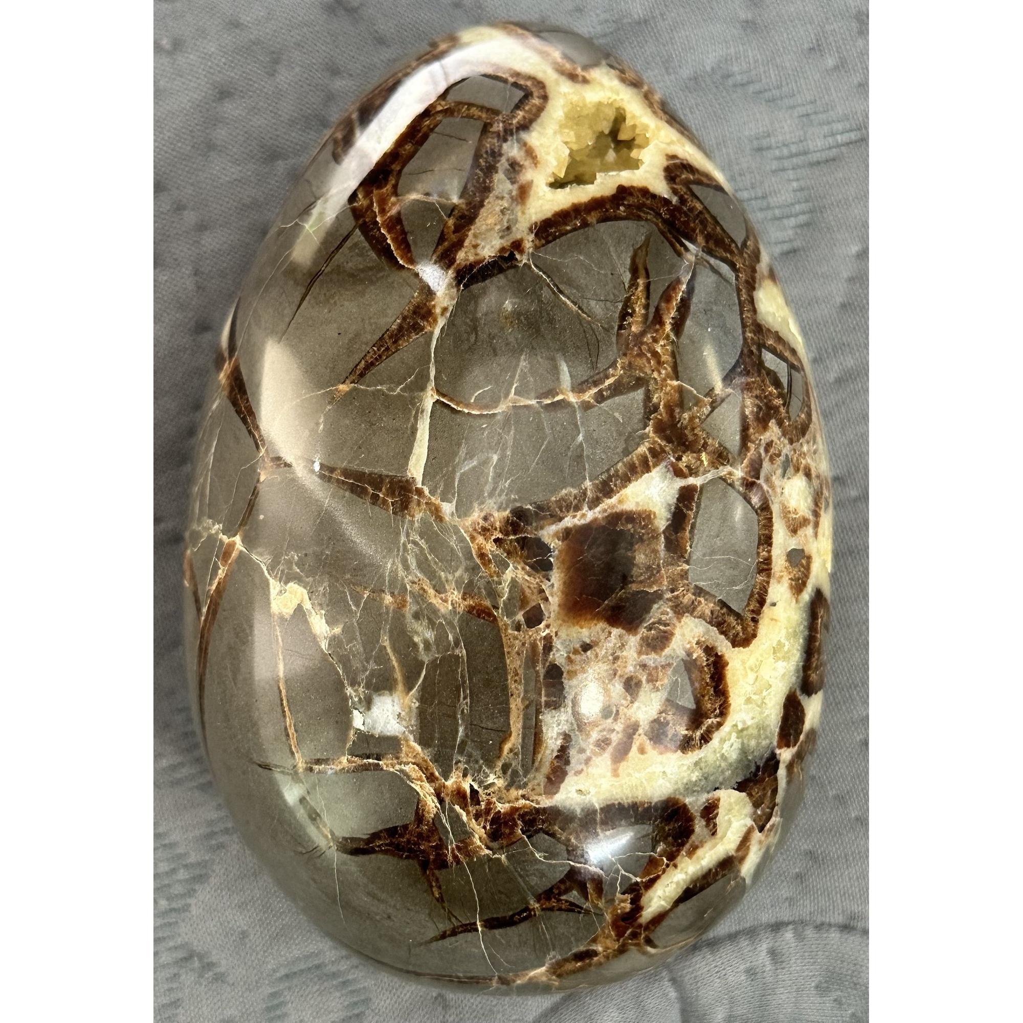 Septarian Egg, Utah, 5 3/4 inch Prehistoric Online