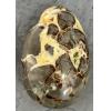 Septarian Egg, Utah, 5 3/4 inch Prehistoric Online