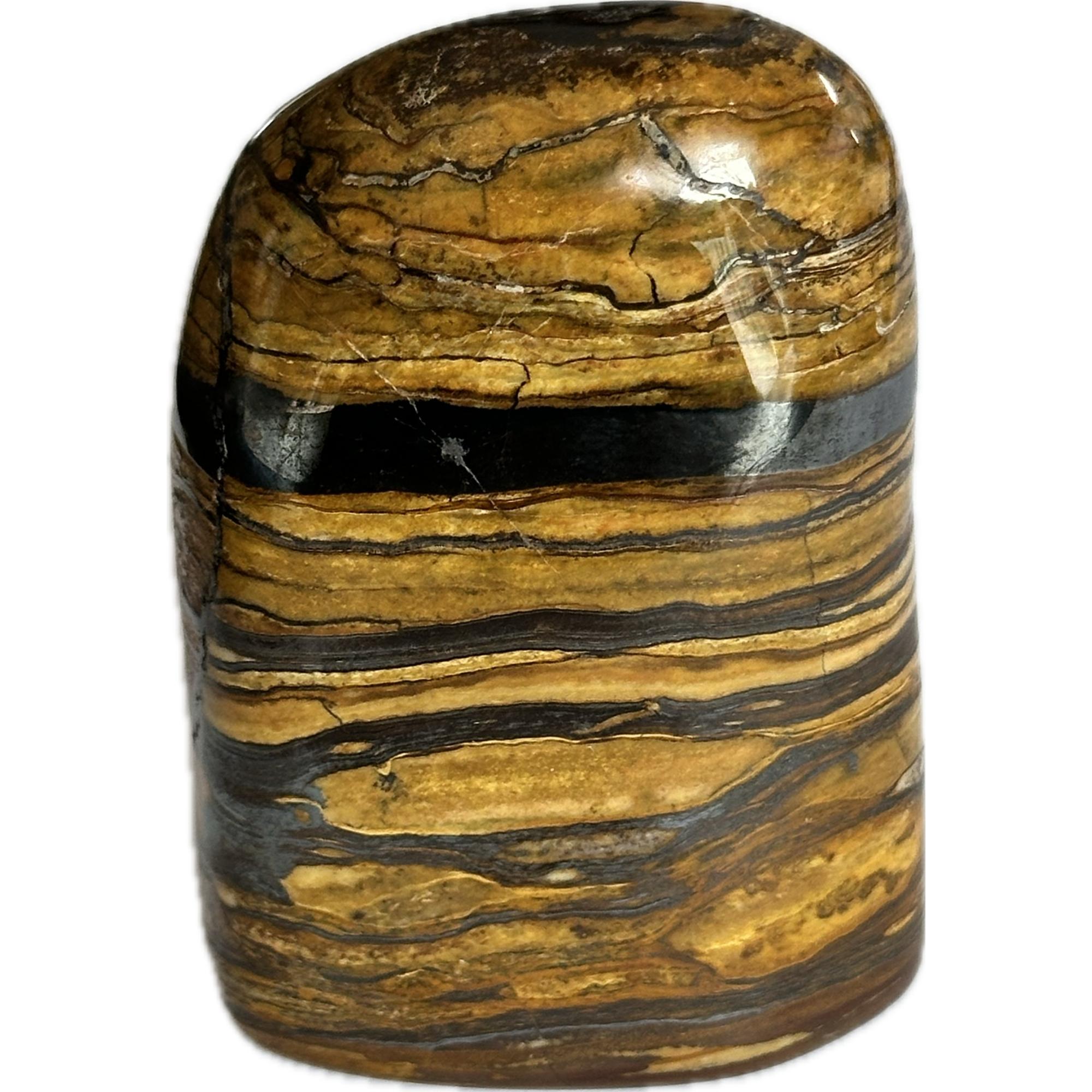 Tiger Iron stand up, highly polished, great layers Prehistoric Online