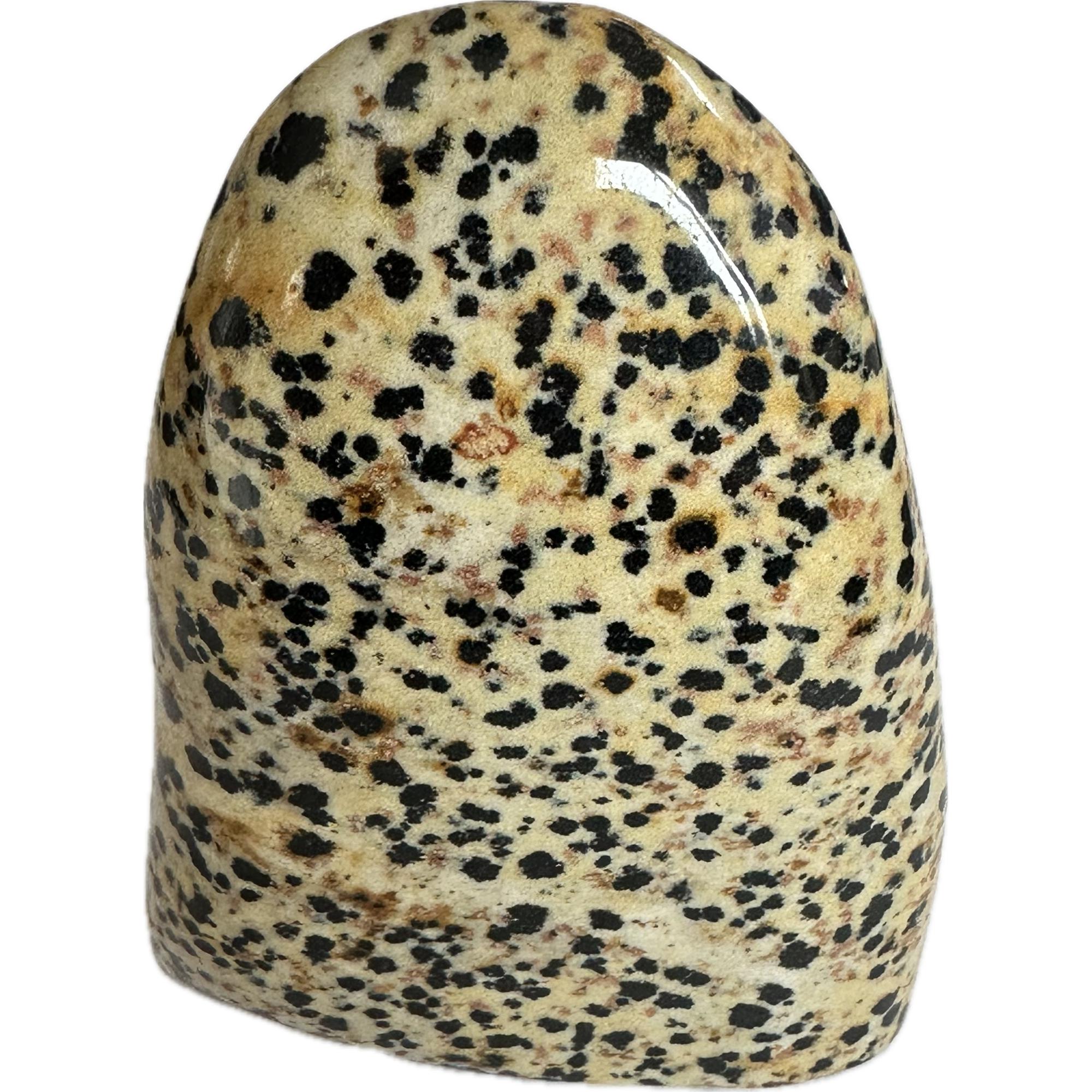 Dalmatian stone Jasper, Stand up, Madagascar Prehistoric Online