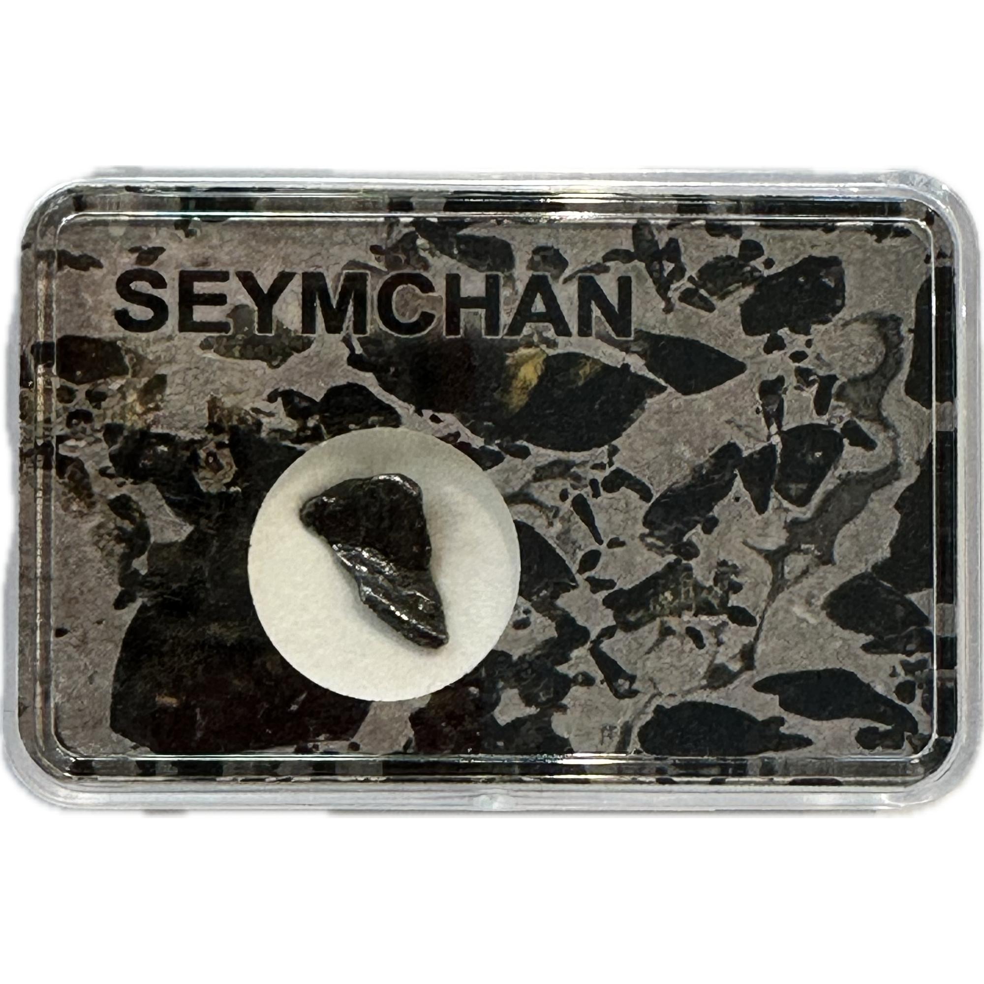 Seymchan meteorite, Pallasite, PMG Prehistoric Online