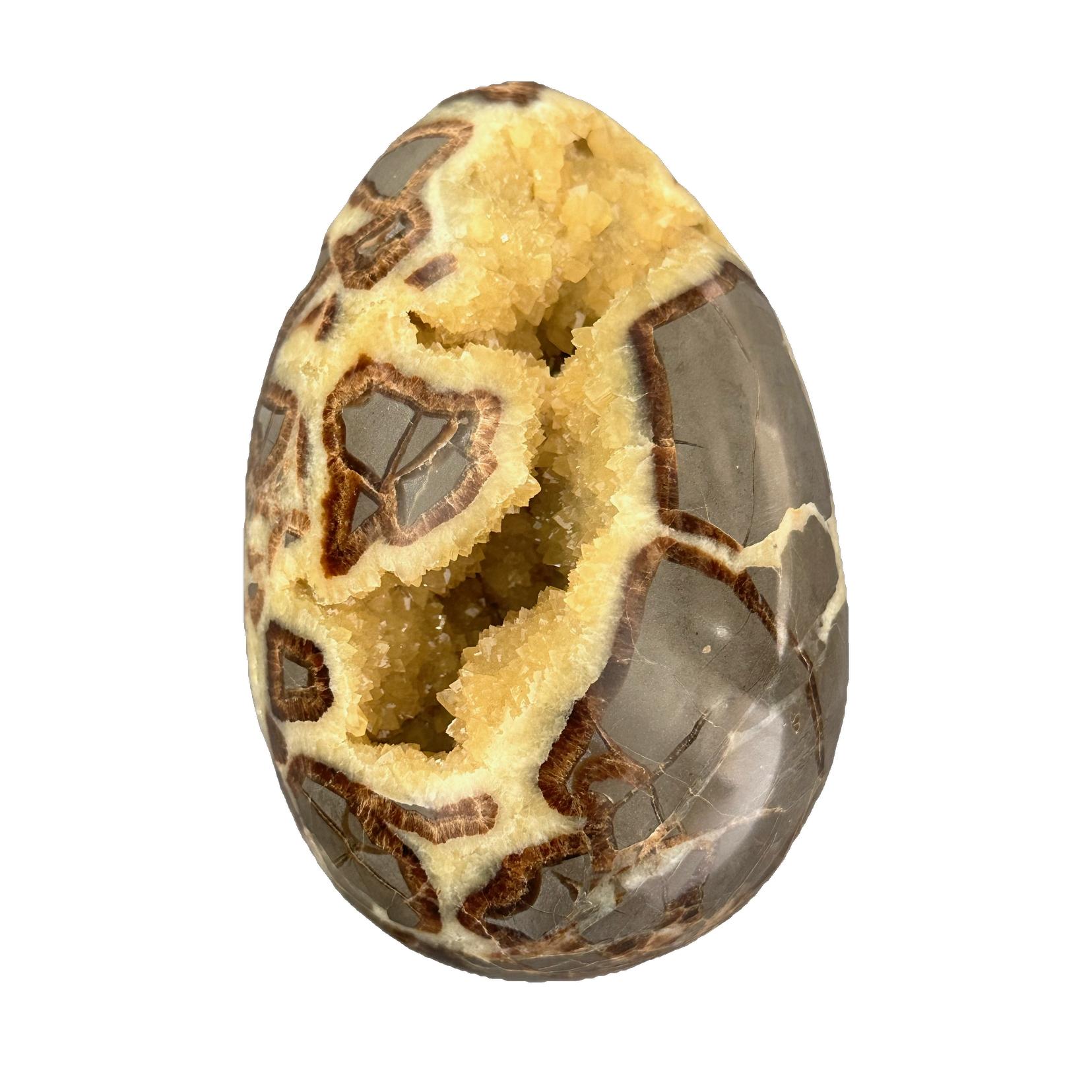 Septarian Egg, Utah, 5 3/4 inch Gem quality specimen Prehistoric Online