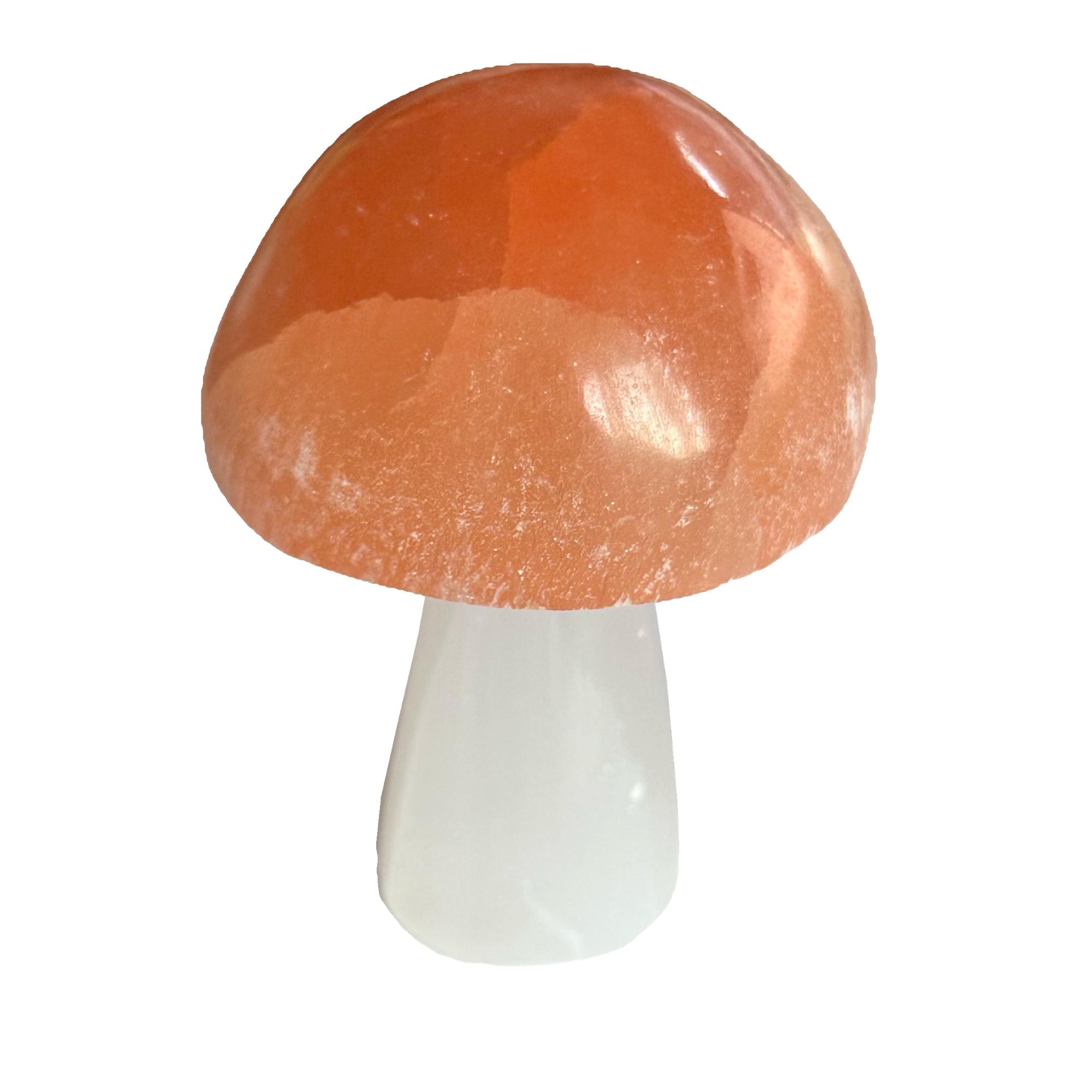 Selenite Mushroom, Orange selenite top, white selenite stem Prehistoric Online